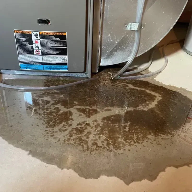 Appliance Leak Cleanup in Lake of the Woods, AZ